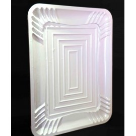 CHAROLA PLÁSTICA GARDUNO RECT 20