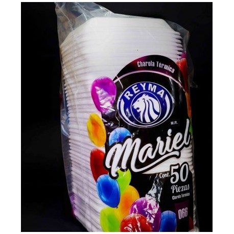 CHAROLA TÉRMICA 66R REYMA