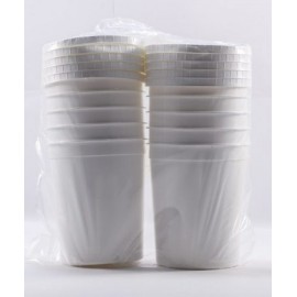 ENVASE 1L. C/TAPA MOLDES 10 PZS.