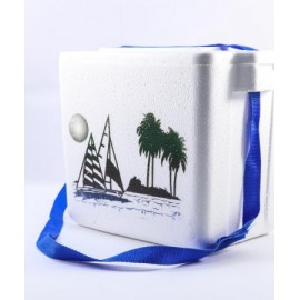 Esquina González – HIELERA CHICA 2 AIMSA