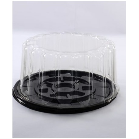 BASE Y DOMO 8.5 x 4.5 X PZ