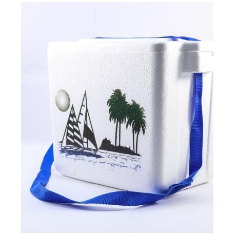 Esquina González – HIELERA CHICA 2 AIMSA